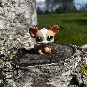 Littlest Pet Shop Chihuahua #1082